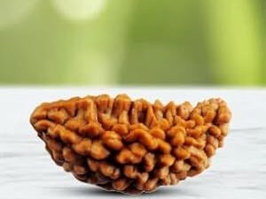 One Mukhi Rudraksha